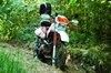 De XT........