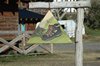 Wandelschoenen aanbevolen