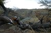 Afdaling richting de rivier Rio Fitz Roy