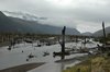 Verdronken bomen langs de Carratera Austral