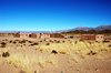 Wonen op de altiplano
