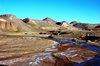 Schitterend landschap