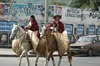 Gaucho festival