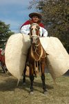 Gaucho festival
