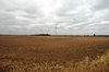 Groot landbouwgebied........