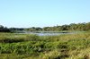 Moerasachtig landschap