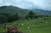 Wandelpad naar de Mount Snowdon