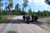 Op de TET route (S)