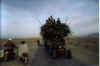 9 Volbeladen tractor (Pakistan).jpg (38342 bytes)