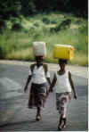 10_Water_halen_(Zambia).jpg (49635 bytes)